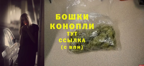 PSILOCYBIN Гусев